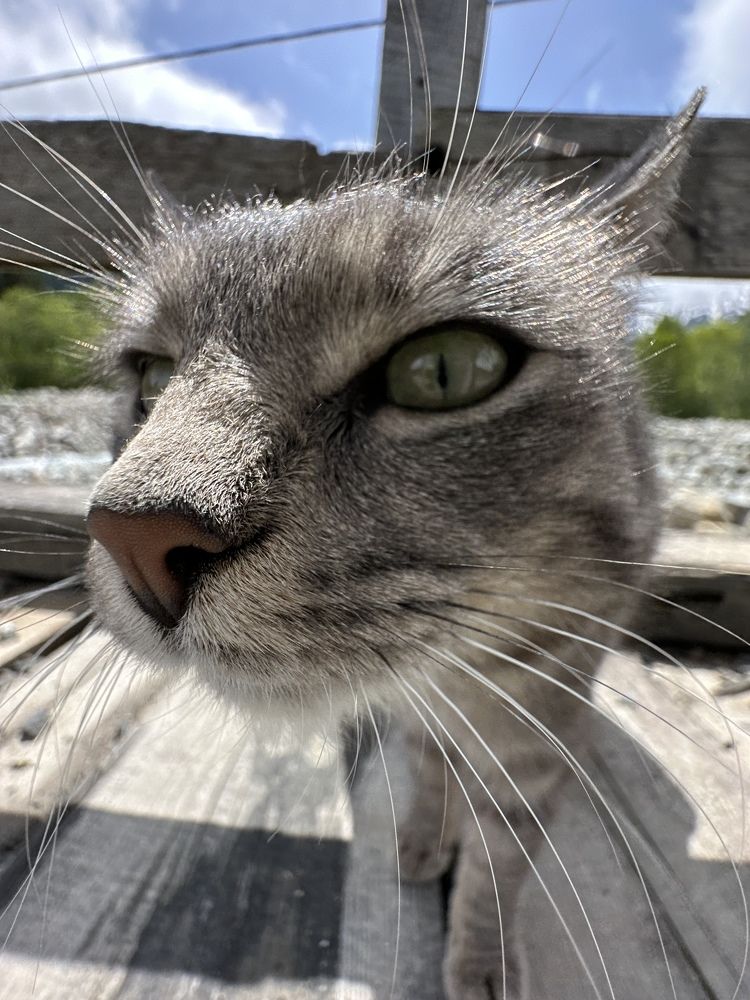 Photograph by Мария Алейникова