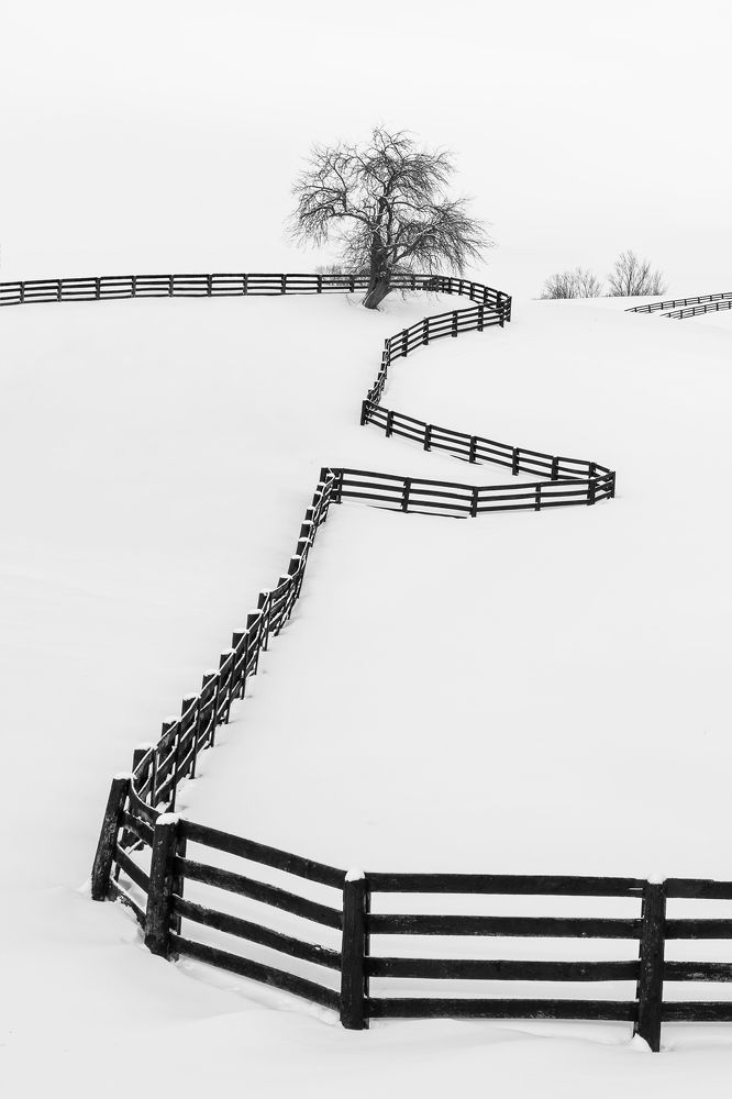 Photograph by Zhenhuan Zhou