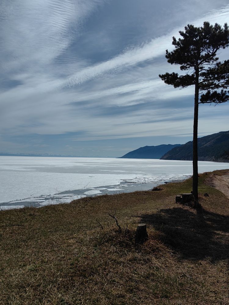 Фотография автора Ольга Гринченко