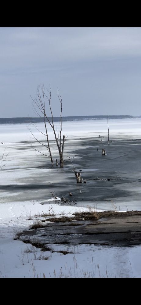 Photograph by Светлана Смук