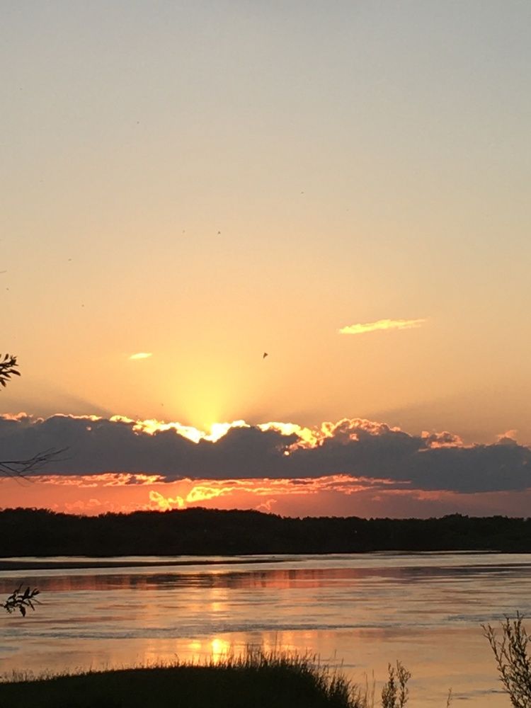 Фотография автора Оксана Фадеева