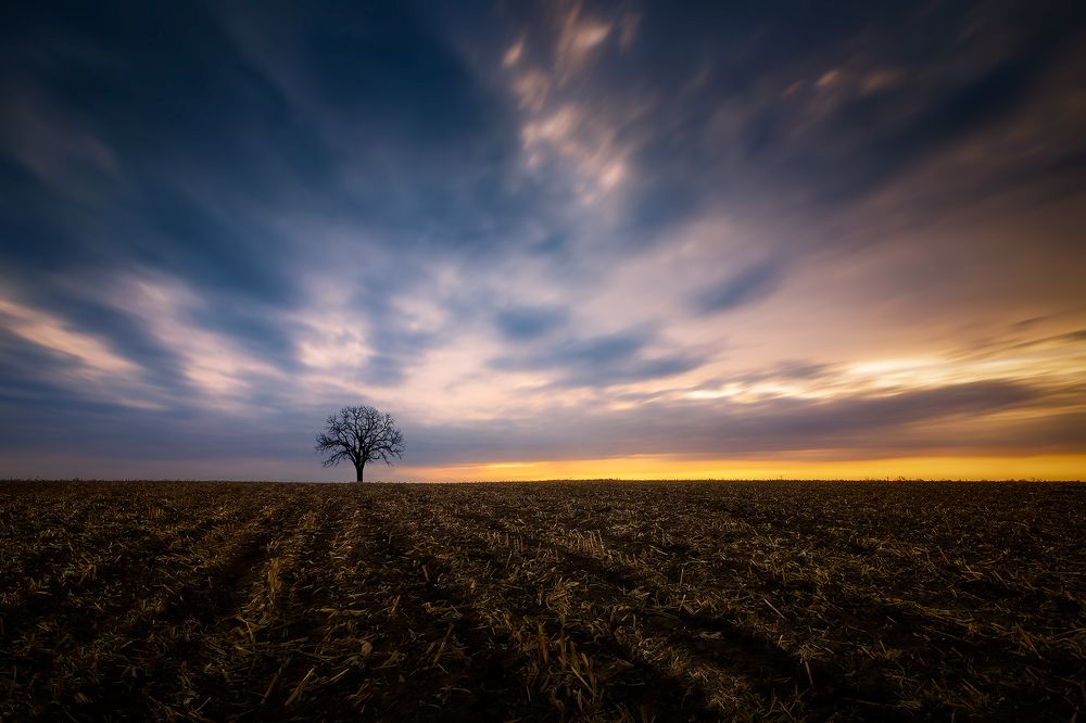 Photograph by Zhenhuan Zhou