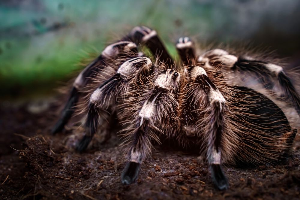 Photograph by Алексей Еремеев