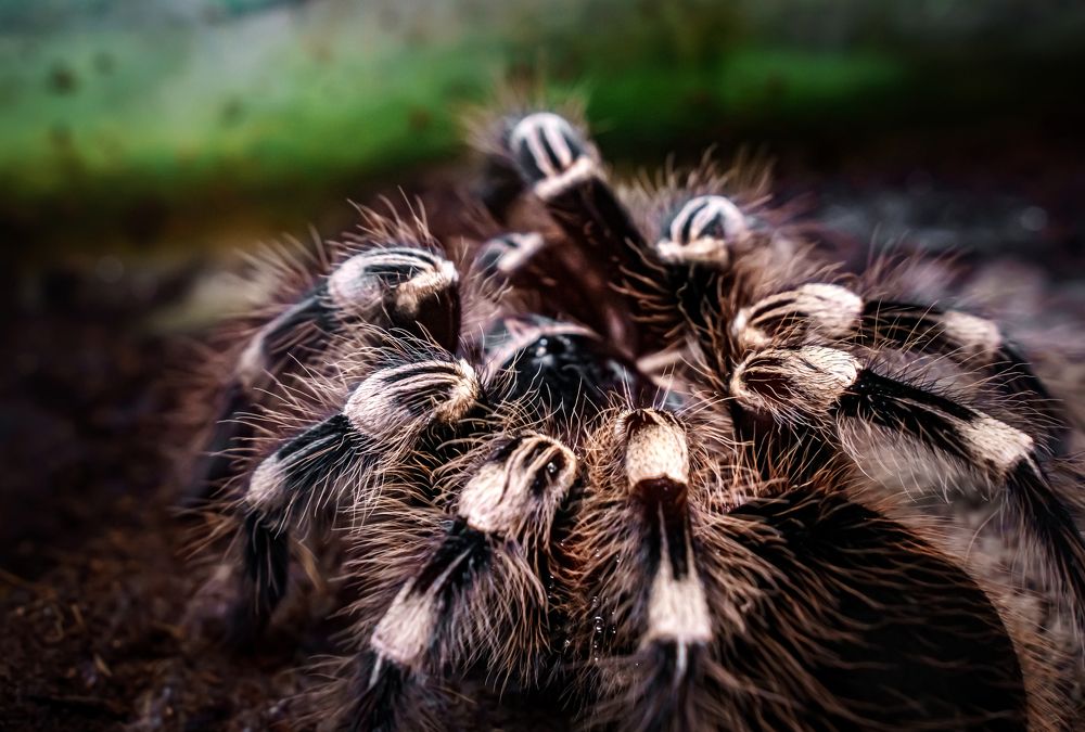 Photograph by Алексей Еремеев