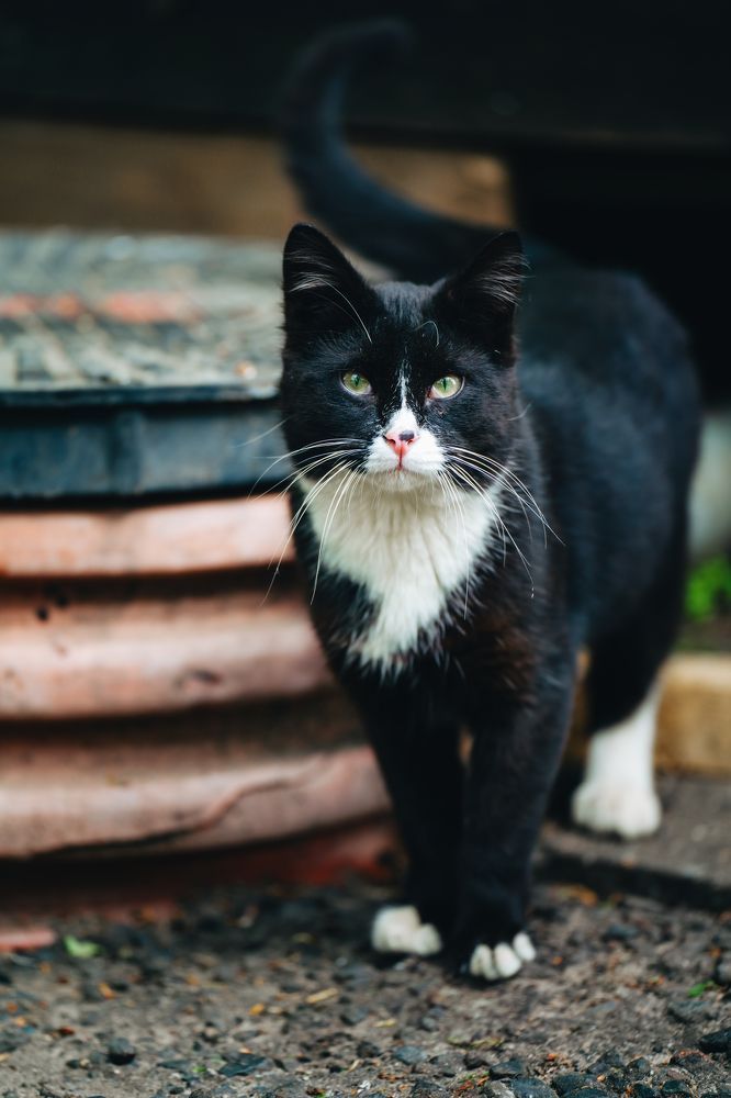 Photograph by Алексей Еремеев