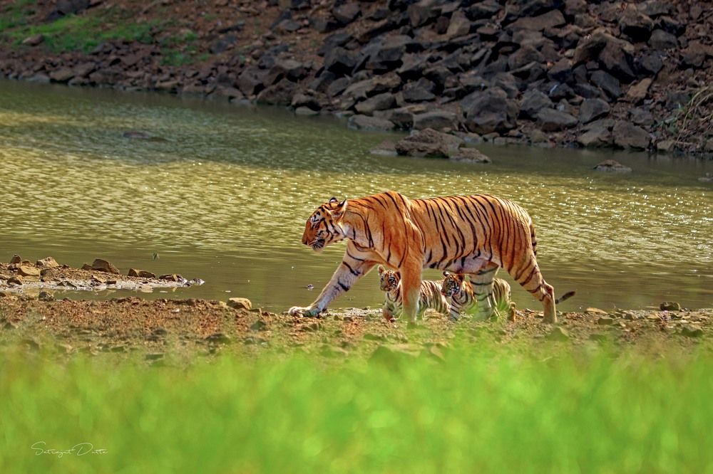 Photograph by SATRAJIT DUTTA