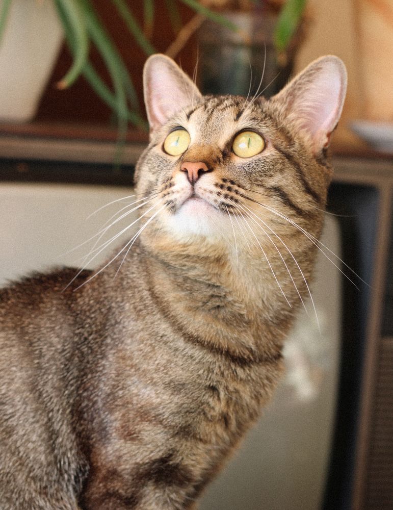 Photograph by Ekaterina