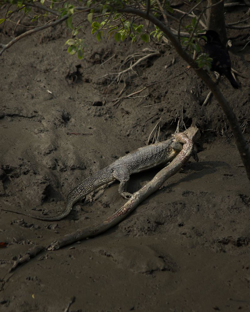 Photograph by SATRAJIT DUTTA