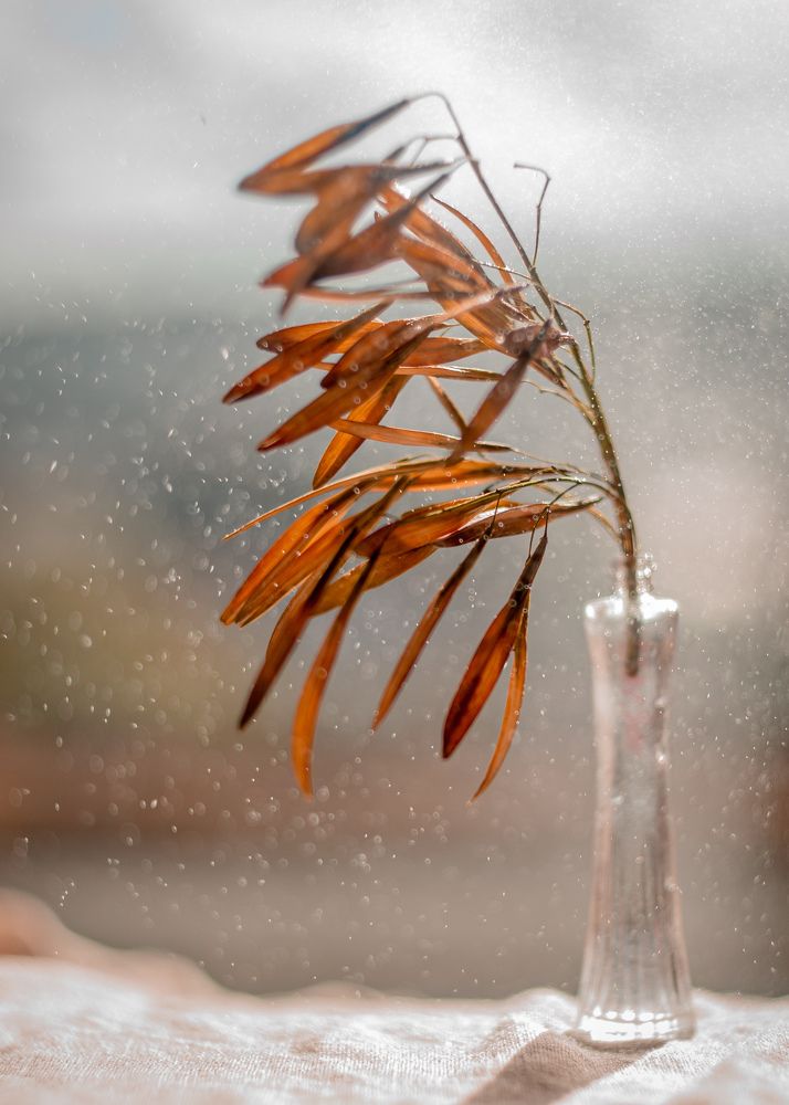 Photograph by Magic Helios