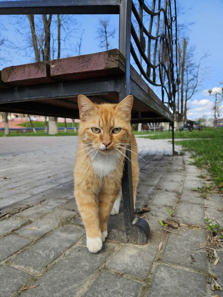 Photograph by Наталья Пагоцкая