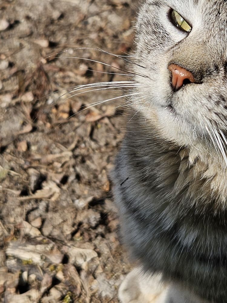 Photograph by Наталья Пагоцкая