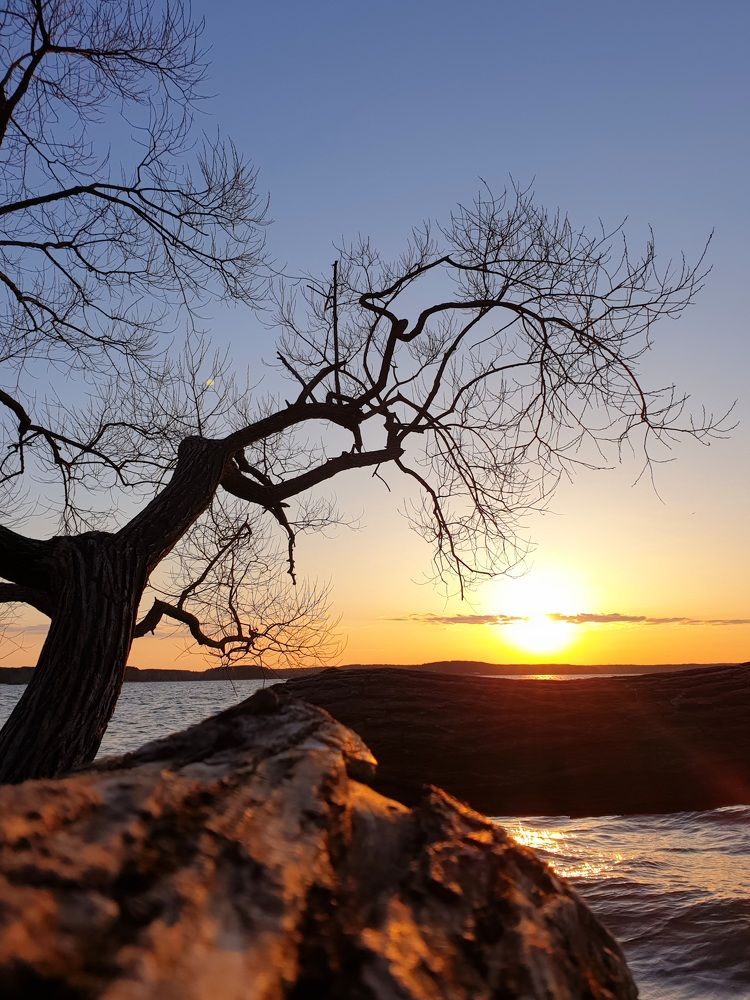 Photograph by Наталья Пагоцкая