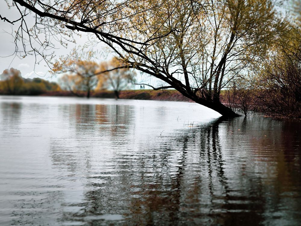 Photograph by Светлана Захарова