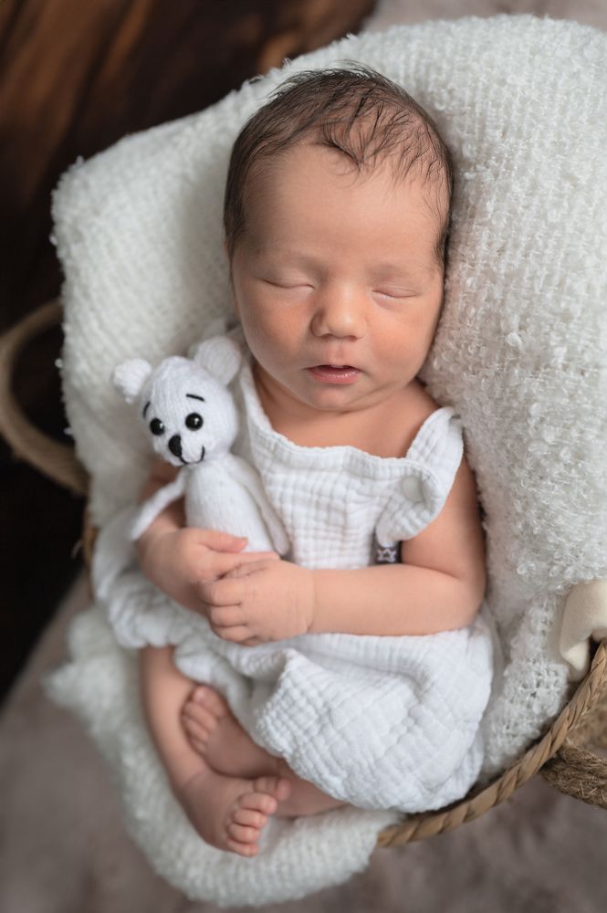 Photograph by Darja Damer