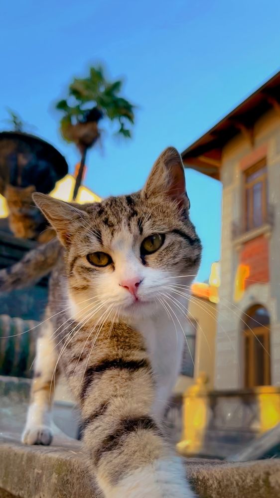 Photograph by Siarhei Saladukhin