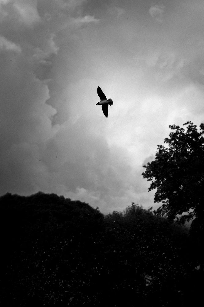 Photograph by Арсений Митин