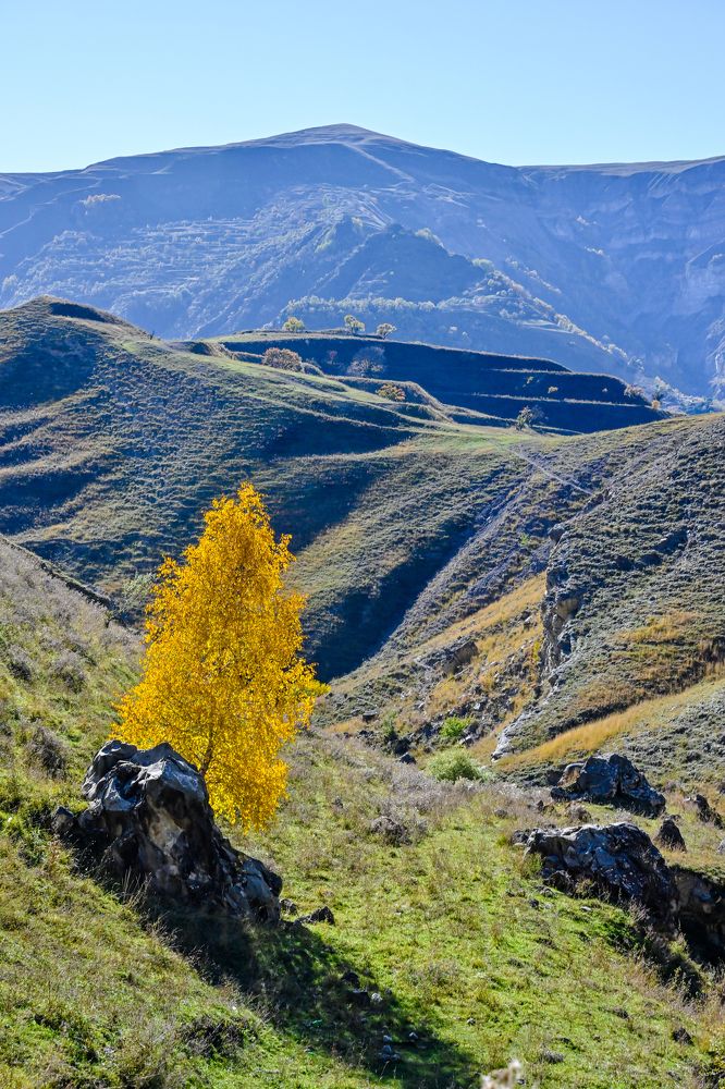 Фотография автора Михаил Пшеннов