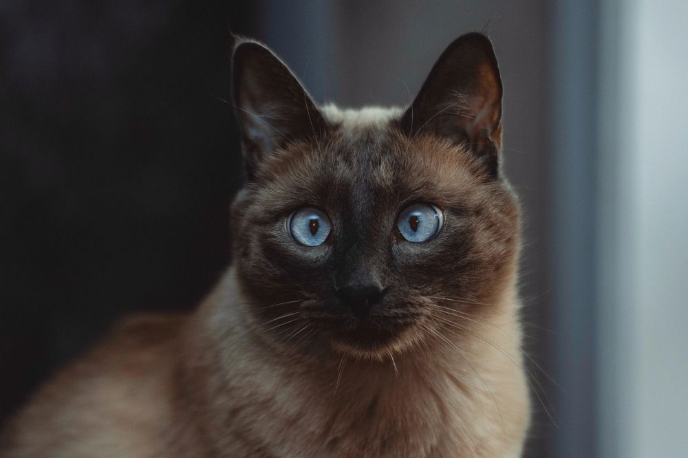 Photograph by Антон Курдюмов