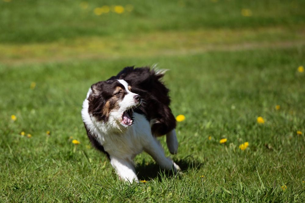 Photograph by Наталья Сотина