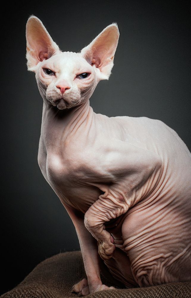 Photograph by Дёгтев Евгений