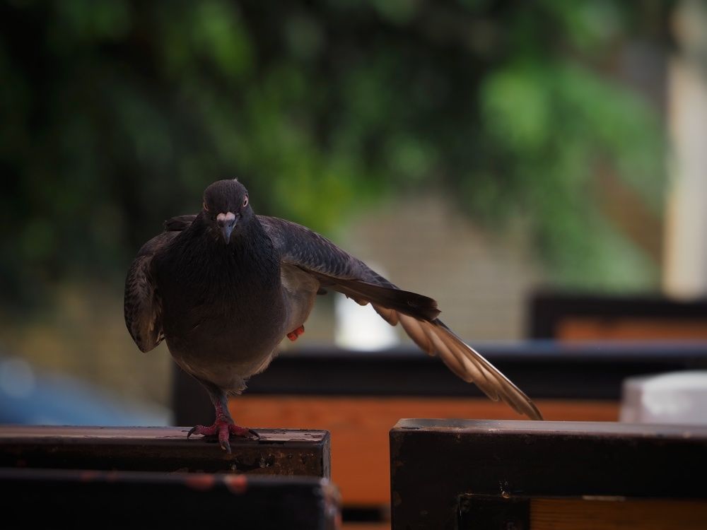 Photograph by Olga Nevedrova