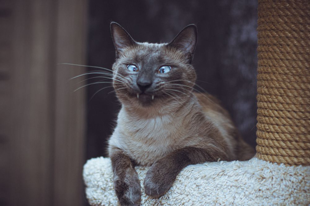 Photograph by Антон Курдюмов