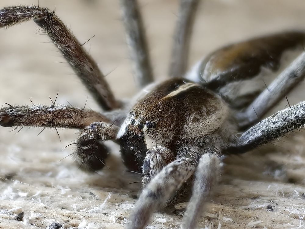 Photograph by Сергей Гриднев