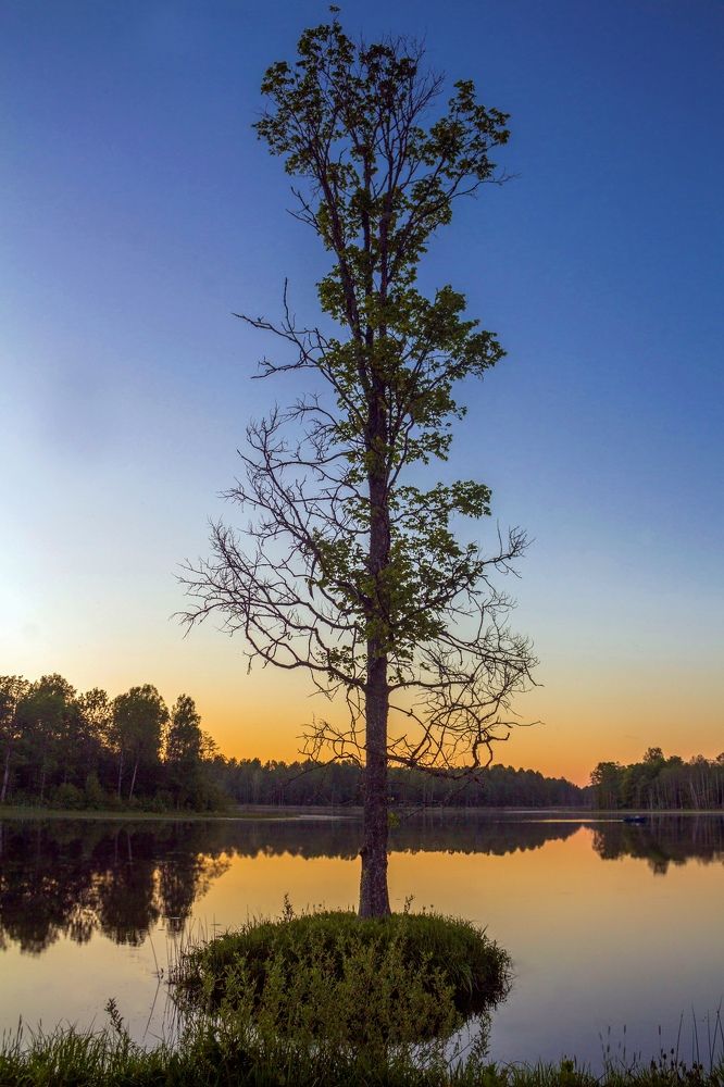 Photograph by Светлана Богомолова