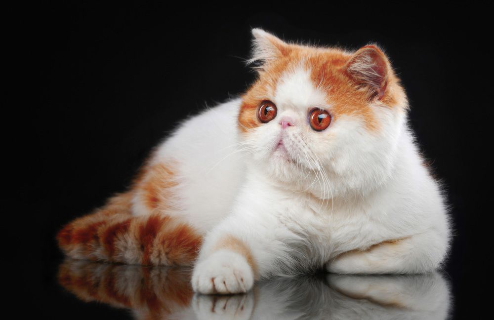 Photograph by Дёгтев Евгений