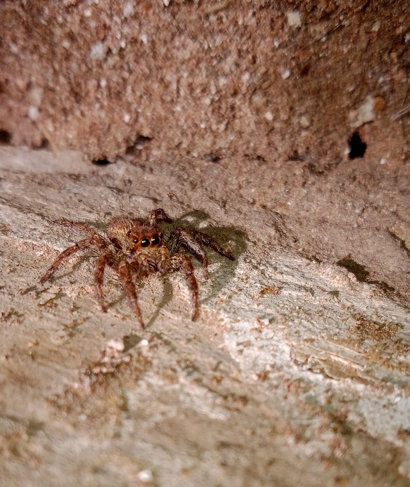 Photograph by Yasha Akhtar