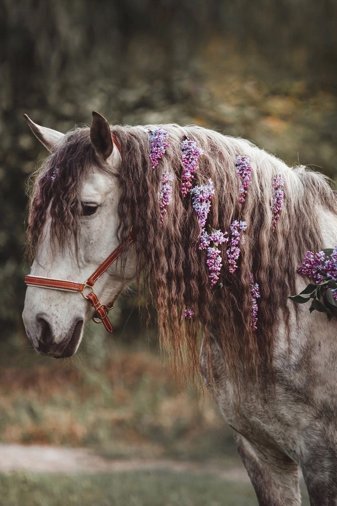 Photograph by Anna Mol