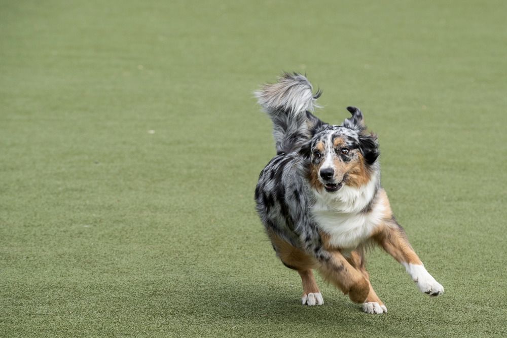 Photograph by Наталья Сотина