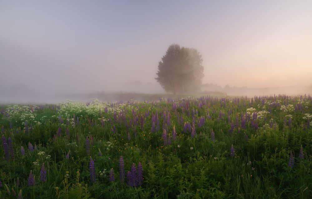 Photograph by Истомин Виталий