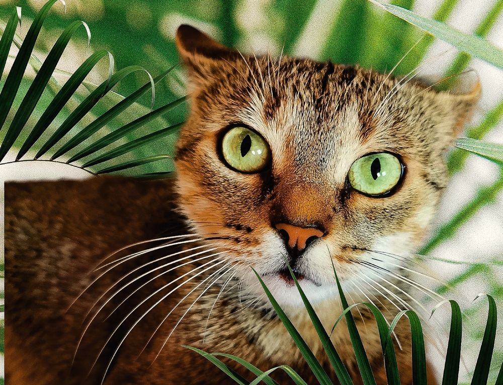 Photograph by Nikolett Mengyi