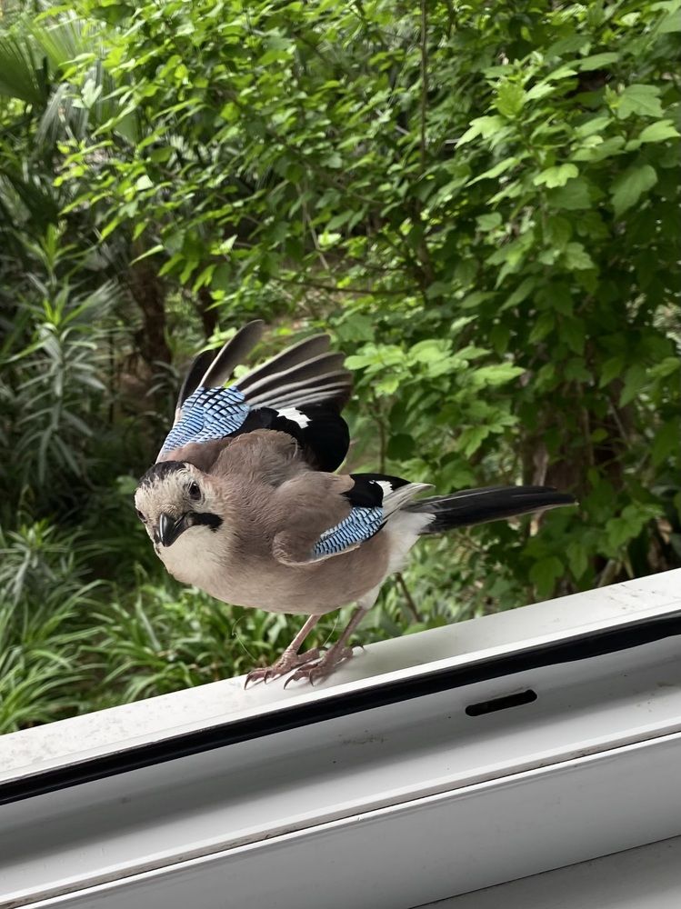 Photograph by Анна Лыкова