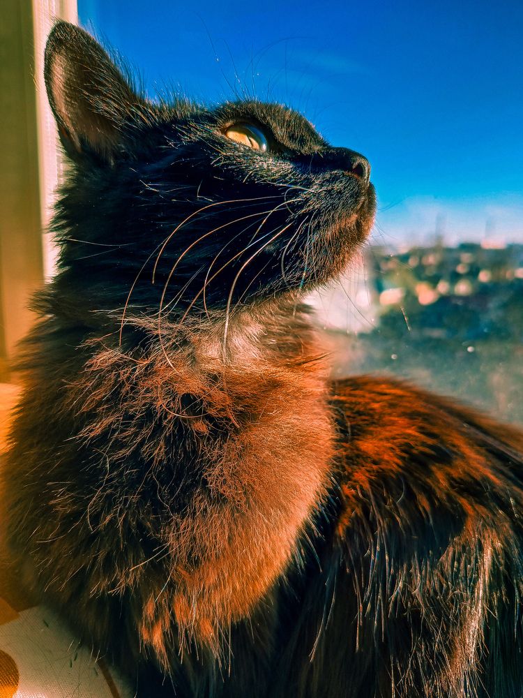 Photograph by Олеся Бронзова