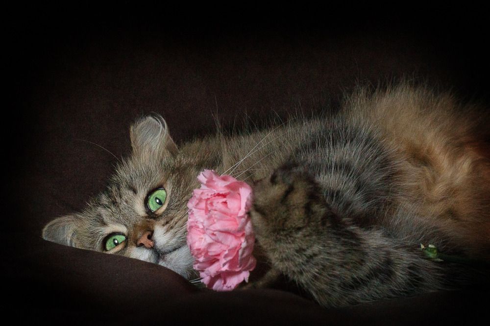 Photograph by Наталья Сотина