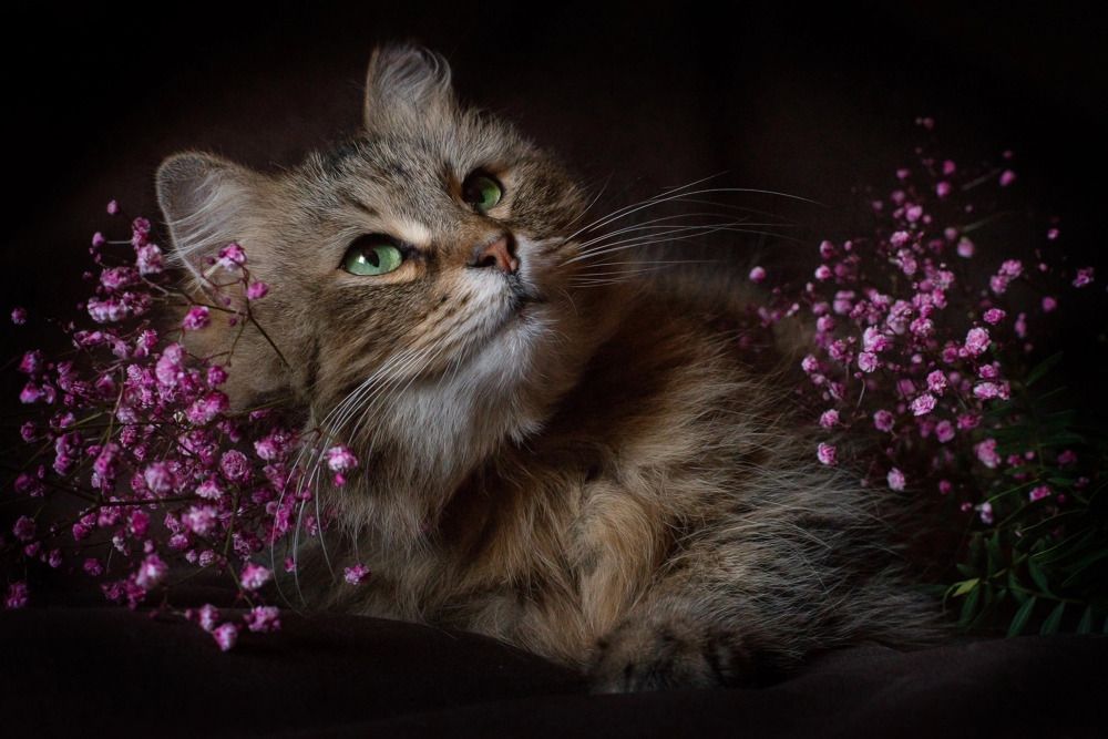 Photograph by Наталья Сотина