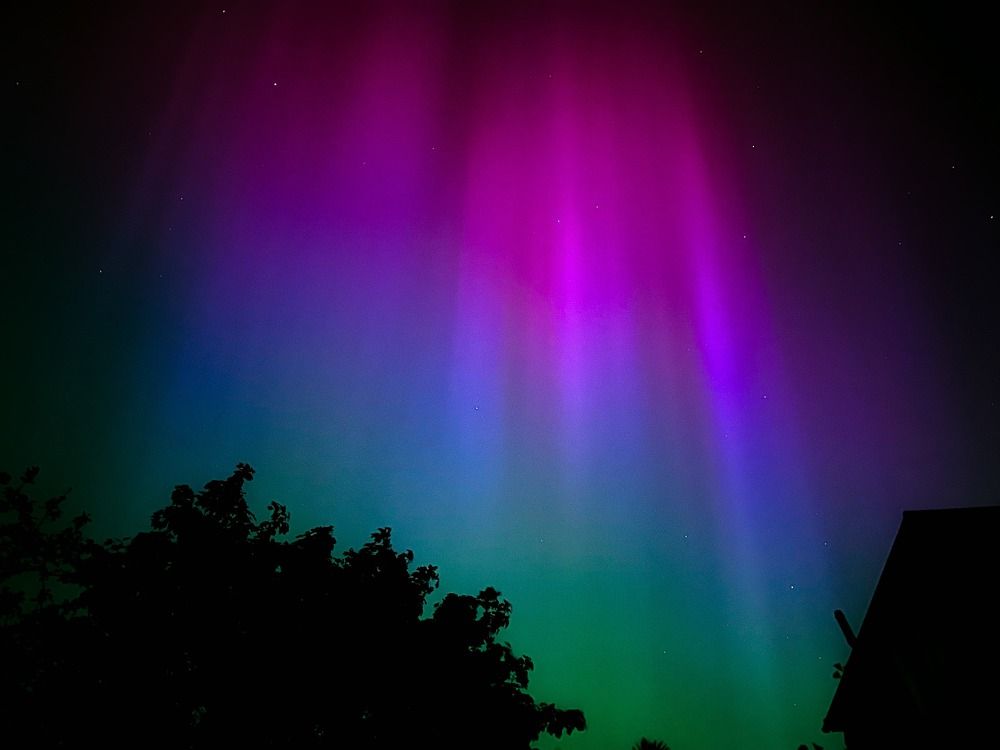 Photograph by Bragadeesh R