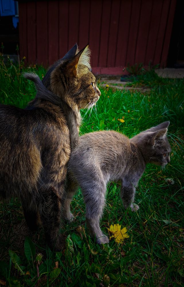 Photograph by Олеся Бронзова