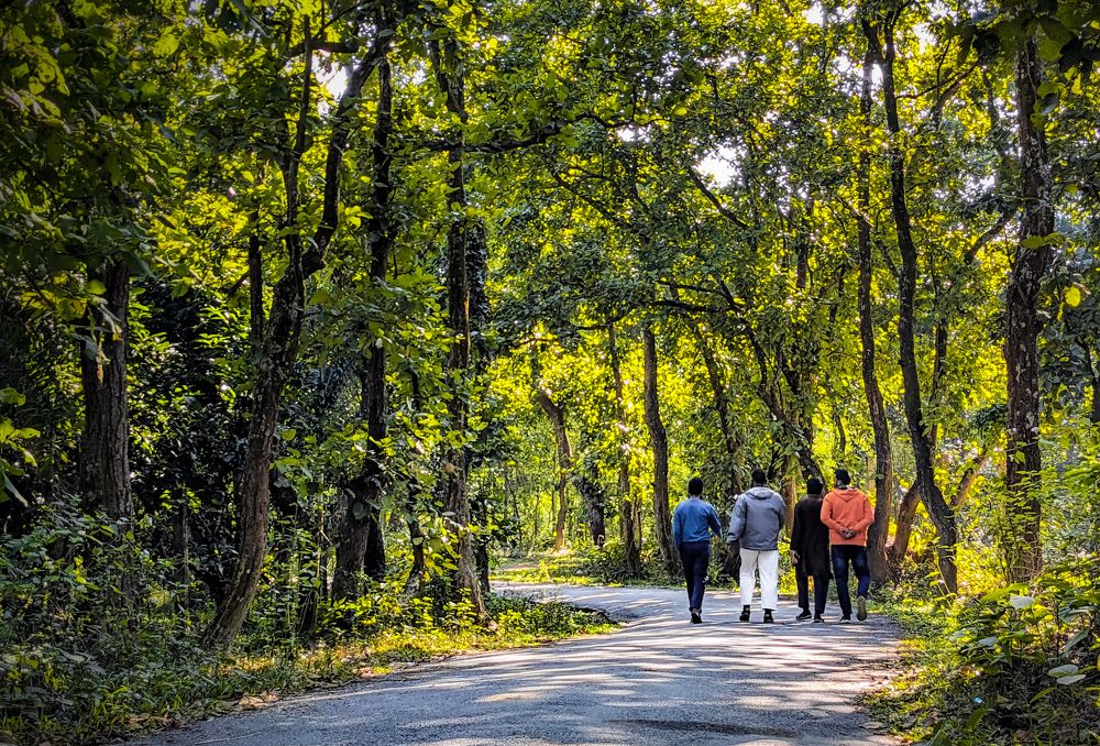 Photograph by Rejaul Karim Rabin