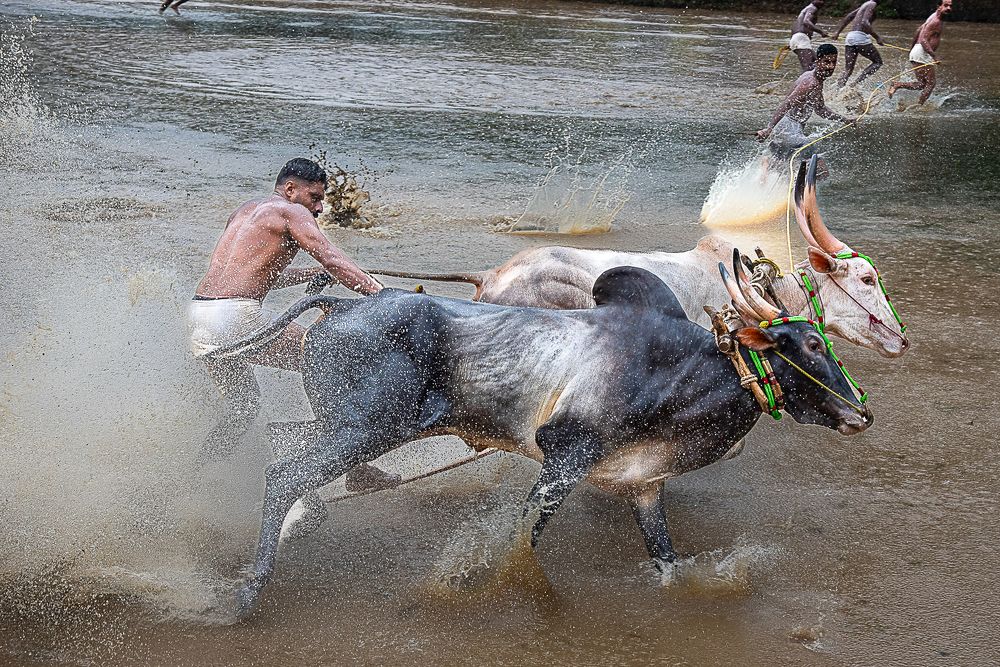 Photograph by Ajayan Kavungal Anat