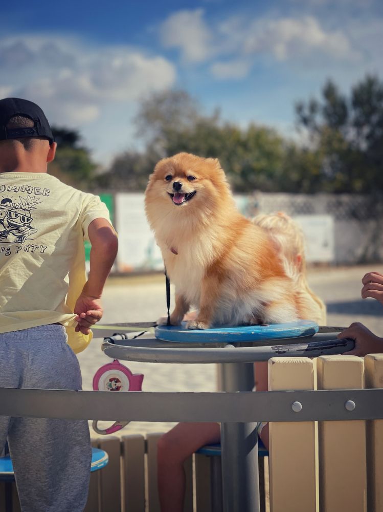 Photograph by Мария Ковригина