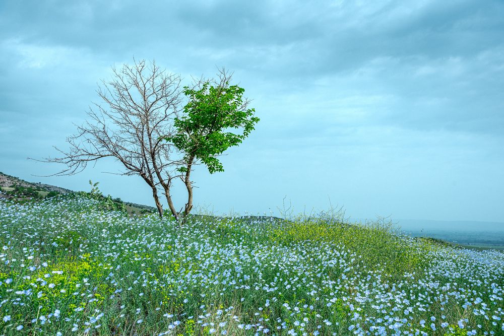 Photograph by Юрий Киреичев