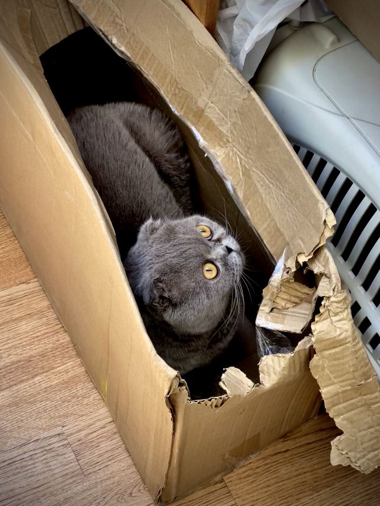 Photograph by Мария Ковригина