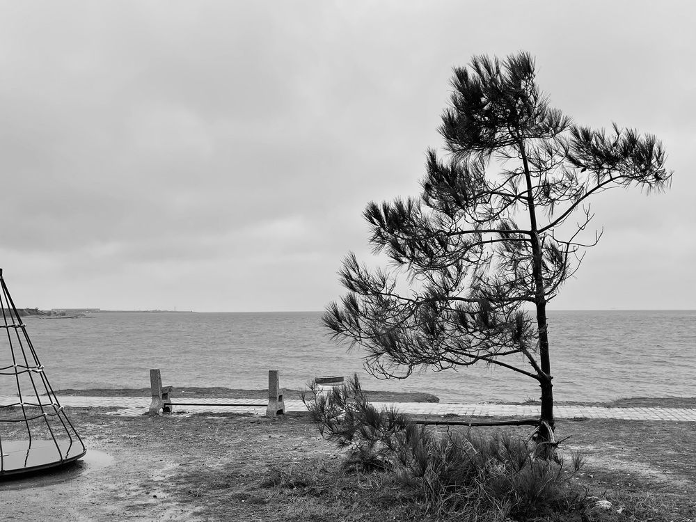 Photograph by Мария Ковригина