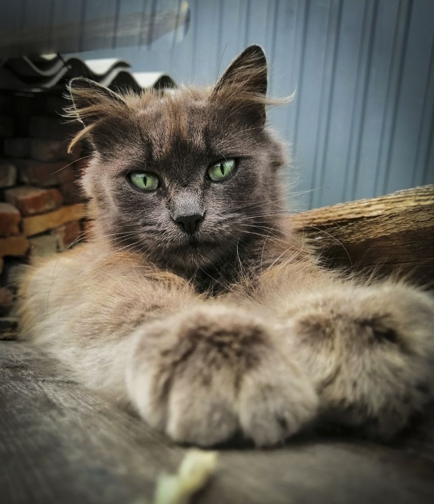 Photograph by Лиана Ратия