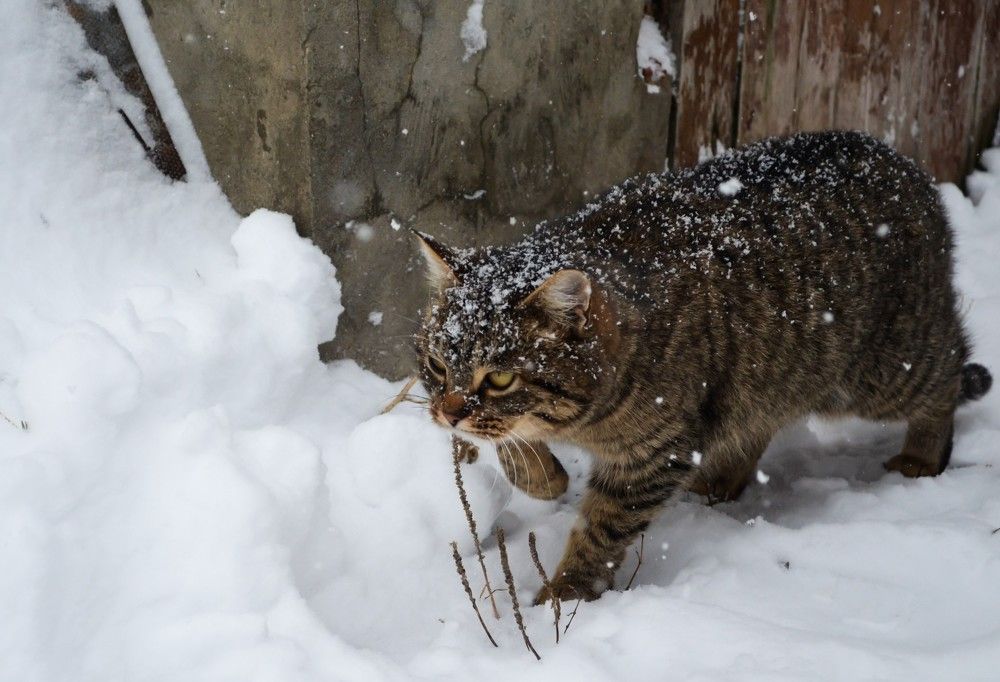 Photograph by Лиана Ратия