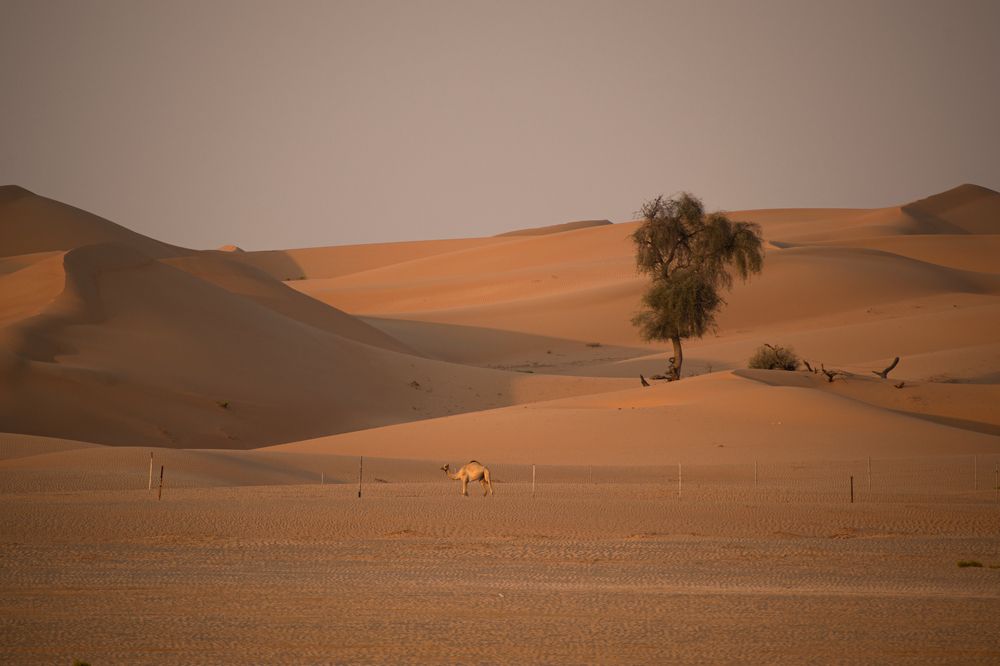 Фотография автора Sakthi Ganesh