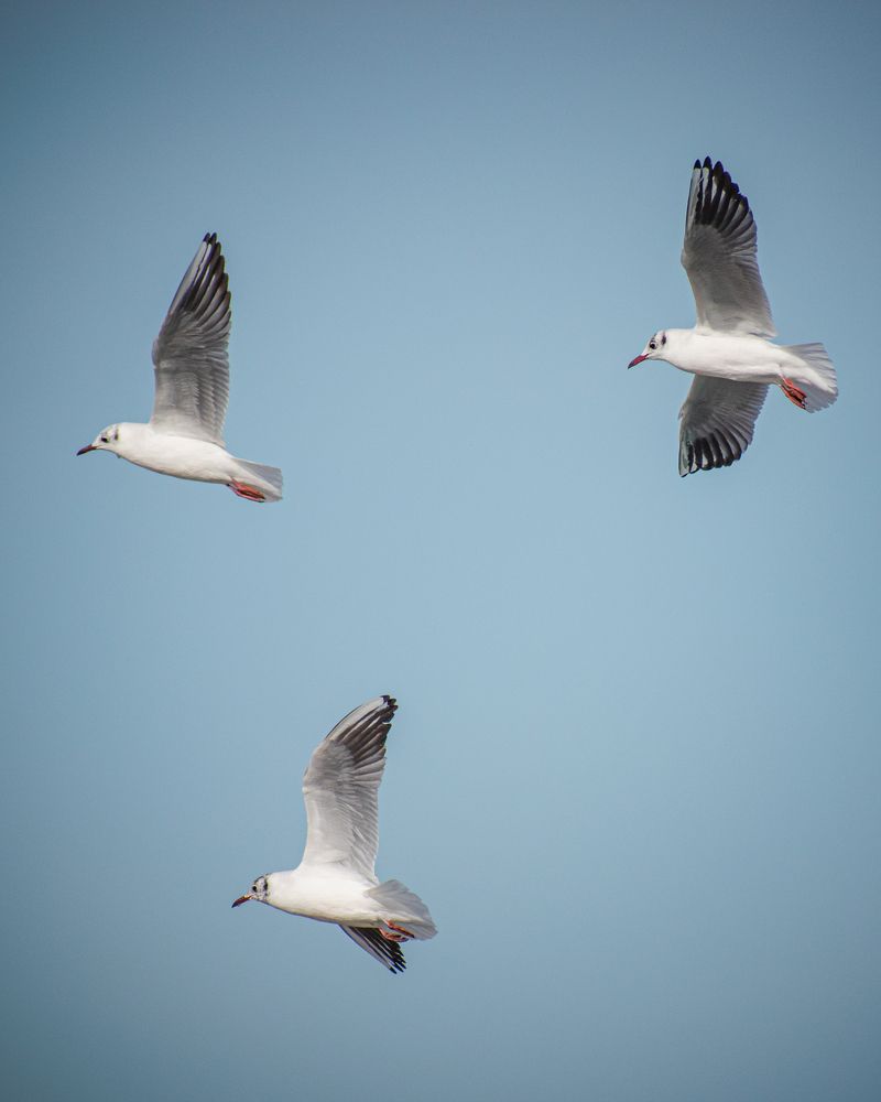 Фотография автора Sakthi Ganesh
